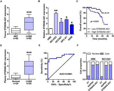 Long Non-coding RNA ST8SIA6-AS1 Promotes Lung Adenocarcinoma Progression Through Sponging miR-125a-3p